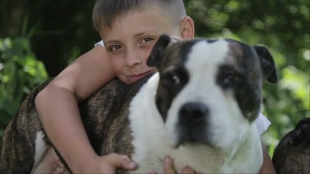 公園でスタッフォードシャー テリアの男の子。犬と子供の肖像画を間近します。自然の中のティーンエイ ジャーと血統スタッフォードシャー. — ストック動画