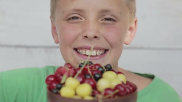 Uma criança come bagas frescas de um prato. Retrato de menino de comer bagas . — Vídeo de Stock