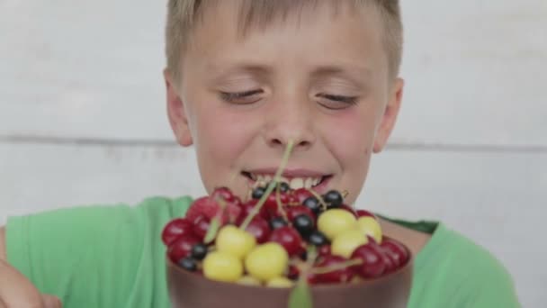 Uma criança come bagas frescas de um prato. Retrato de menino de comer bagas . — Vídeo de Stock