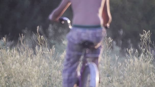 Um rapaz numa bicicleta atravessa o campo de relva. Criança em repouso em uma aldeia com uma bicicleta em uma grama alta . — Vídeo de Stock