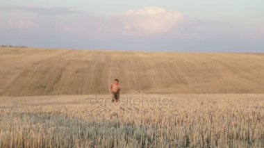 Koşma, atlama, dans ve yürüyüş alanı, çocuktur. Bir çocuk temizlenmiş bir alanda oynuyor. 