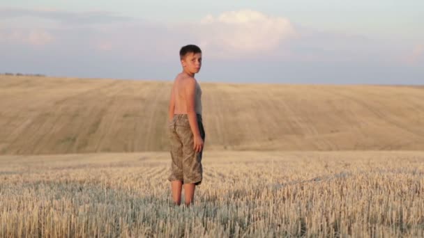 El niño está en el campo, corriendo, saltando, bailando y caminando. Un niño está jugando en un campo limpio . — Vídeos de Stock