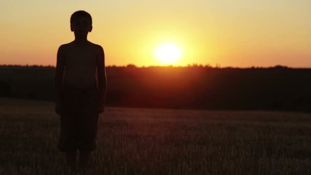 Мальчик на закате делает упражнения, бегая по полю. Ребенок на закате дня в поле бегает и делает упражнения . — стоковое видео