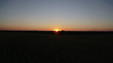 Baba ve oğul gün batımında eğitim alanında vardır. Adam ve çocuk gün batımında alanında çalıştırın ve oyun. 