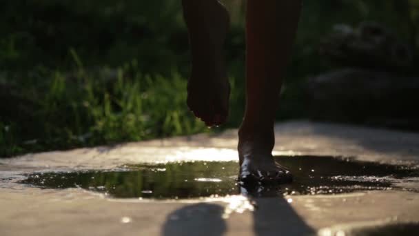 Női láb mezítláb egy pocsolya, a háttérvilágítás. Sziluettjét, női lábak vízzel a naplementében meginni egy bambit. — Stock videók