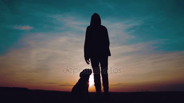 Ein Mann im Sweatshirt mit Kapuze tanzt bei Sonnenuntergang auf dem Feld vor dem Hund. Silhouette eines Teenagers, der bei Sonnenuntergang mit einem Hund Rap tanzt. — Stockvideo