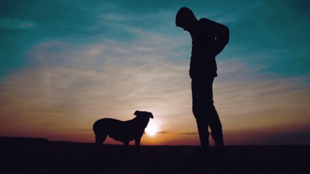 A guy in a sweatshirt with a hood dances in front of the dog at sunset in the field. Silhouette of a teenager dancing rap at sunset with a dog. — Stock Video