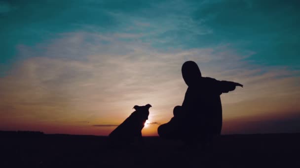 Retrato de un niño al atardecer con un perro. Silueta de un adolescente en un campo con un perro . — Vídeo de stock