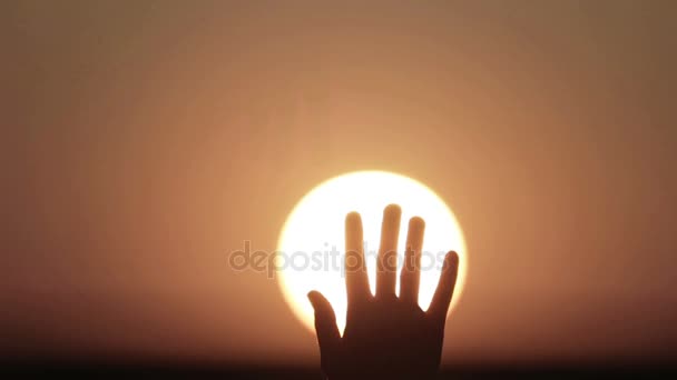 Una mano de mujer en el sol poniente. Primer retrato de una mano femenina al atardecer . — Vídeos de Stock