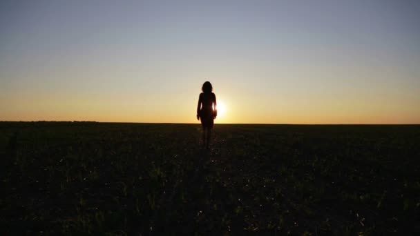 Ritratto di silhouette di donna sulla natura nel campo. Silhouette di correre e ballare ragazza in un campo al tramonto . — Video Stock