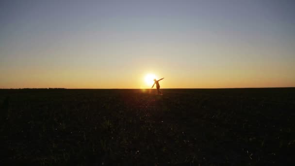 剪影的自然领域上的女人的肖像。运行和跳舞的女孩在野外在日落时的剪影. — 图库视频影像