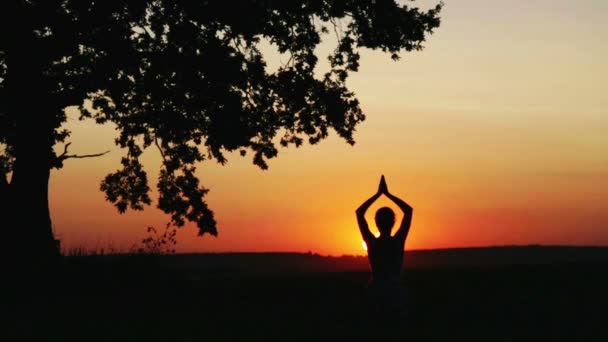 La chica al atardecer del día hace los ejercicios. Mujer cerca de un roble enorme al atardecer del día . — Vídeos de Stock