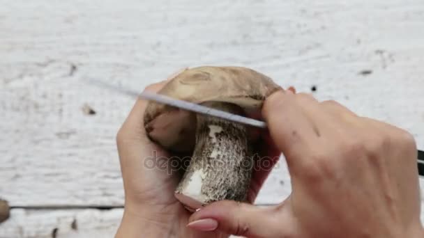 As mãos fecham moendo cogumelos. Cortar cogumelos numa tábua de cortar. Cortar cogumelos frescos. Cozinhar, cortar cogumelos . — Vídeo de Stock