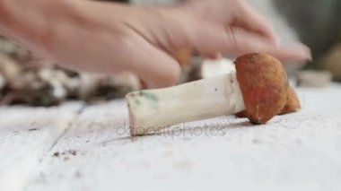 Eller mantar zımpara kapatın. Dilimleme mantar doğrama tahtası. Kesme taze mantar. Yemek, mantar doğrama.