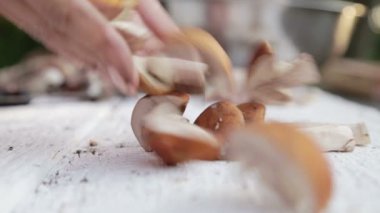 Eller mantar zımpara kapatın. Dilimleme mantar doğrama tahtası. Kesme taze mantar. Yemek, mantar doğrama.