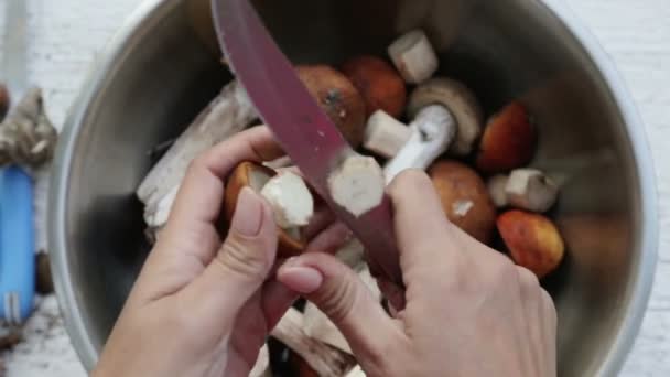 As mãos fecham moendo cogumelos. Cortar cogumelos numa tábua de cortar. Cortar cogumelos frescos. Cozinhar, cortar cogumelos . — Vídeo de Stock