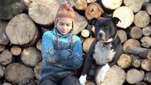 Staffordshire terrier nyalogatja a szomorú fiú, a háttérben a tűzifa. Portré egy gyermek, a háttérben egy kutya 4k videóinak tűzifa. — Stock videók