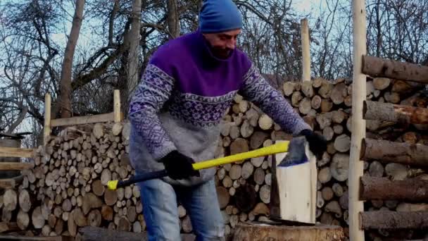 Young Guy Chops Wood Farm Portrait Man Hears Wood Estate — Stock Video
