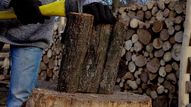 Joven Corta Leña Granja Retrato Hombre Con Hacha Escucha Madera — Vídeos de Stock