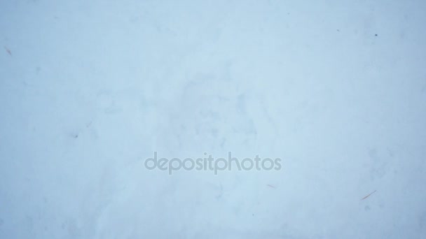 Portrait Boy Close Winter Face Child Lying Head Snow — Stock Video