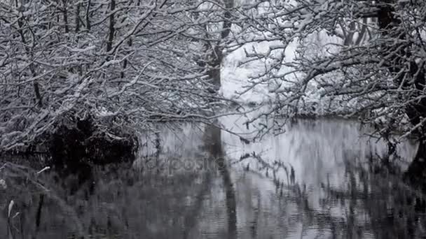 Río Bosque Cubierto Nieve Río Arroyo Con Árboles Caídos Bosque — Vídeo de stock