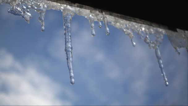 融化的冰柱在春天 春天变暖 屋檐下冰柱融化 — 图库视频影像