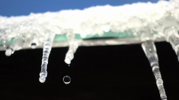 Eiszapfen Schmelzen Frühling Frühlingserwärmung Eiszapfen Schmelzen Unter Dem Dach — Stockvideo