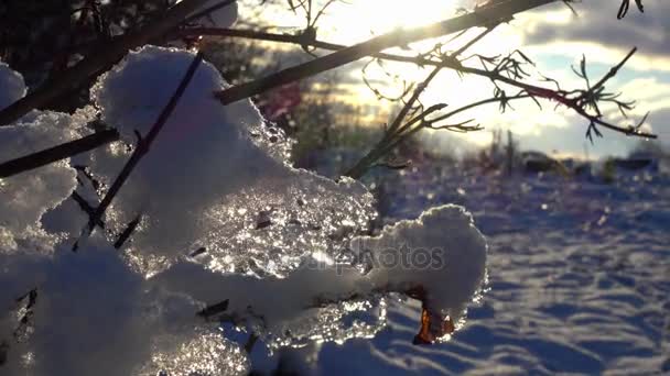 Bella Vista Sul Giardino Nel Disgelo Primaverile Primavera Scioglie Neve — Video Stock