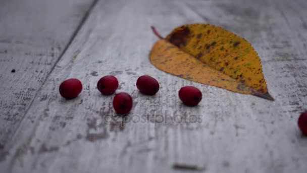 Foglia Gialla Autunnale Pavimento Bianco Con Bacche Composizione Nel Parco — Video Stock