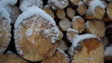 Kış yavaş çekimde katlanmış yakacak odun hasat. Odun kar yağışı ağır çekimde ambarının görünümü.