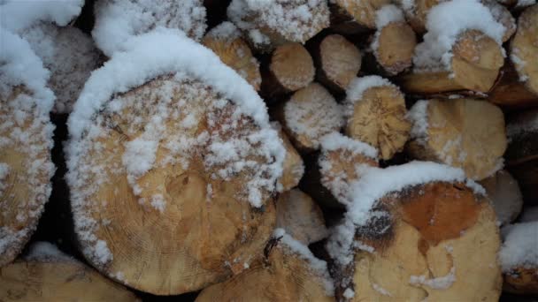 Legna Ardere Piegata Raccolta Rallentatore Invernale Vista Del Magazzino Legna — Video Stock