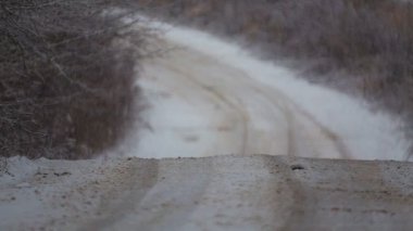 Forest winter road in a blizzard. View of the forest road in heavy snow. 
