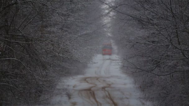 Ônibus Monta Inverno Floresta Escola Passeios Ônibus Através Floresta Inverno — Vídeo de Stock