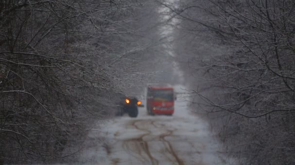 Ônibus Monta Inverno Floresta Escola Passeios Ônibus Através Floresta Inverno — Vídeo de Stock
