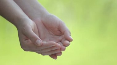 Şakayık yapraklı kadın elleri. Çiçek yapraklarıyla yakın plan eller.. 