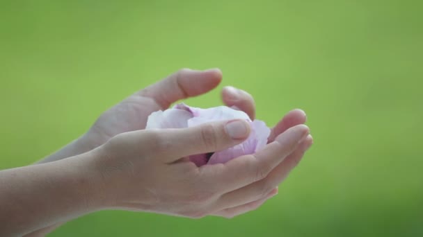 Manos Femeninas Con Pétalos Peonía Primer Plano Manos Con Pétalos — Vídeos de Stock