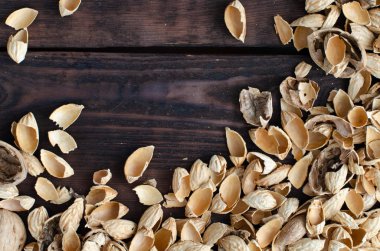 Organik atık. Üst Manzara. Kısaca. Sıfır atık.