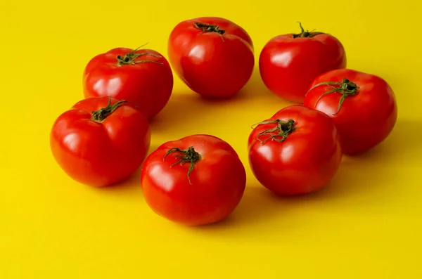 Circle of delicious tomatoes on yellow background