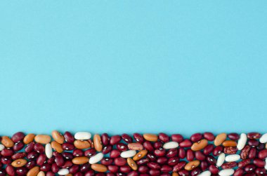 Mavi arkaplanda fotokopi alanı olan fasulyeler. Üst görünüm