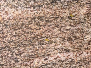 Taş dokusu arkaplanı