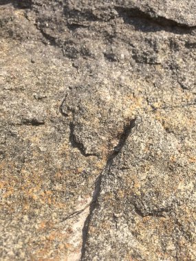 Taş dokusu arkaplanı