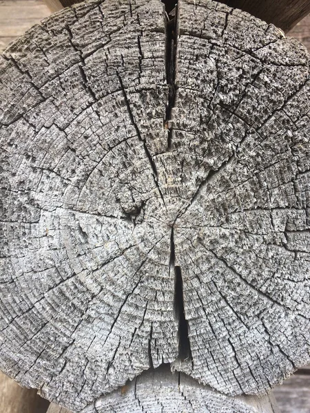 Baumringe alte verwitterte Holzstruktur — Stockfoto