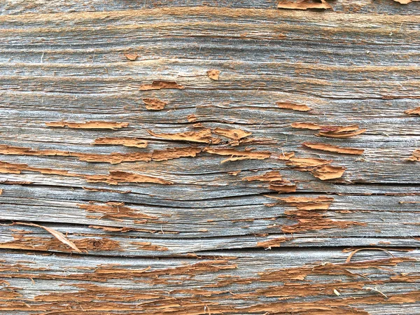 Grunge 'un geçmişi. Eski ahşap bir zeminde boya soyuyordu. Eski