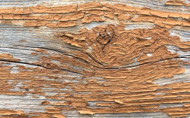 Grunge 'un geçmişi. Eski ahşap bir zeminde boya soyuyordu. Eski