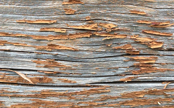 Grunge-Hintergrund. Abblätternde Farbe auf einem alten Holzboden. Jahrgang — Stockfoto