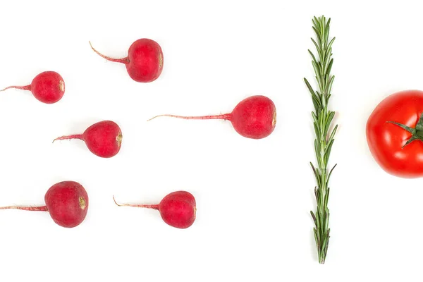 Radis rouge pourpre et légumes romarin isolés sur le dos blanc — Photo