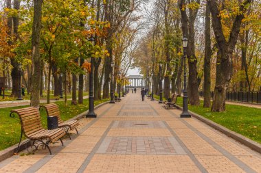 Kiev, Ukrayna - 27 Ekim 2019: Kiev parkında sonbahar. Vladimir Anıtı, Vladimir parkındaki sarı ağaç yaprakları ve kentsel Volodymyrska Tepesi 'ndeki Dinyeper Nehri manzarası boyunca uzanır.