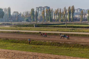 Güzel Ukrayna. Kiev hipodromu. 27 Ekim 2019