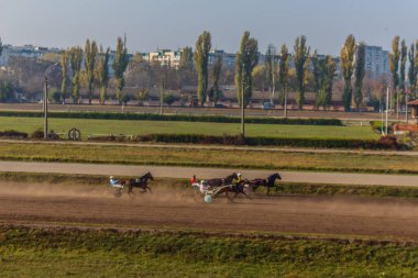Güzel Ukrayna. Kiev hipodromu. 27 Ekim 2019