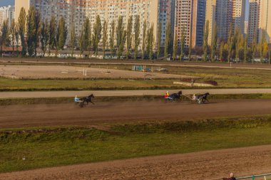 Güzel Ukrayna. Kiev hipodromu. 27 Ekim 2019